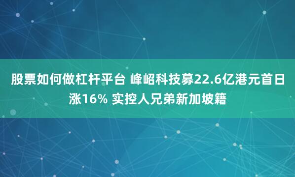 股票如何做杠杆平台 峰岹科技募22.6亿港元首日涨16% 实控人兄弟新加坡籍