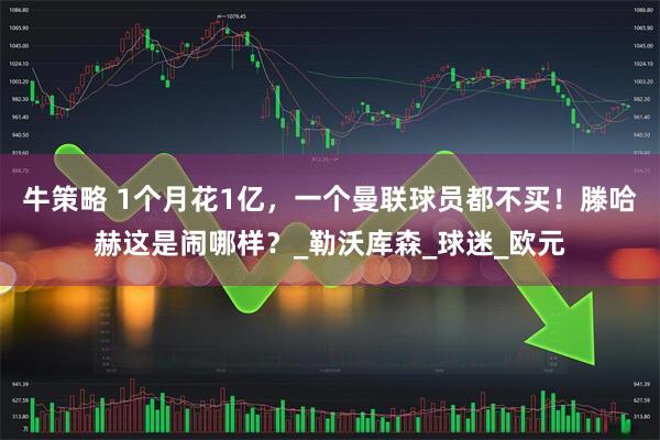 牛策略 1个月花1亿，一个曼联球员都不买！滕哈赫这是闹哪样？_勒沃库森_球迷_欧元