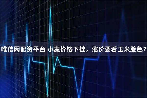 唯信网配资平台 小麦价格下挫，涨价要看玉米脸色？
